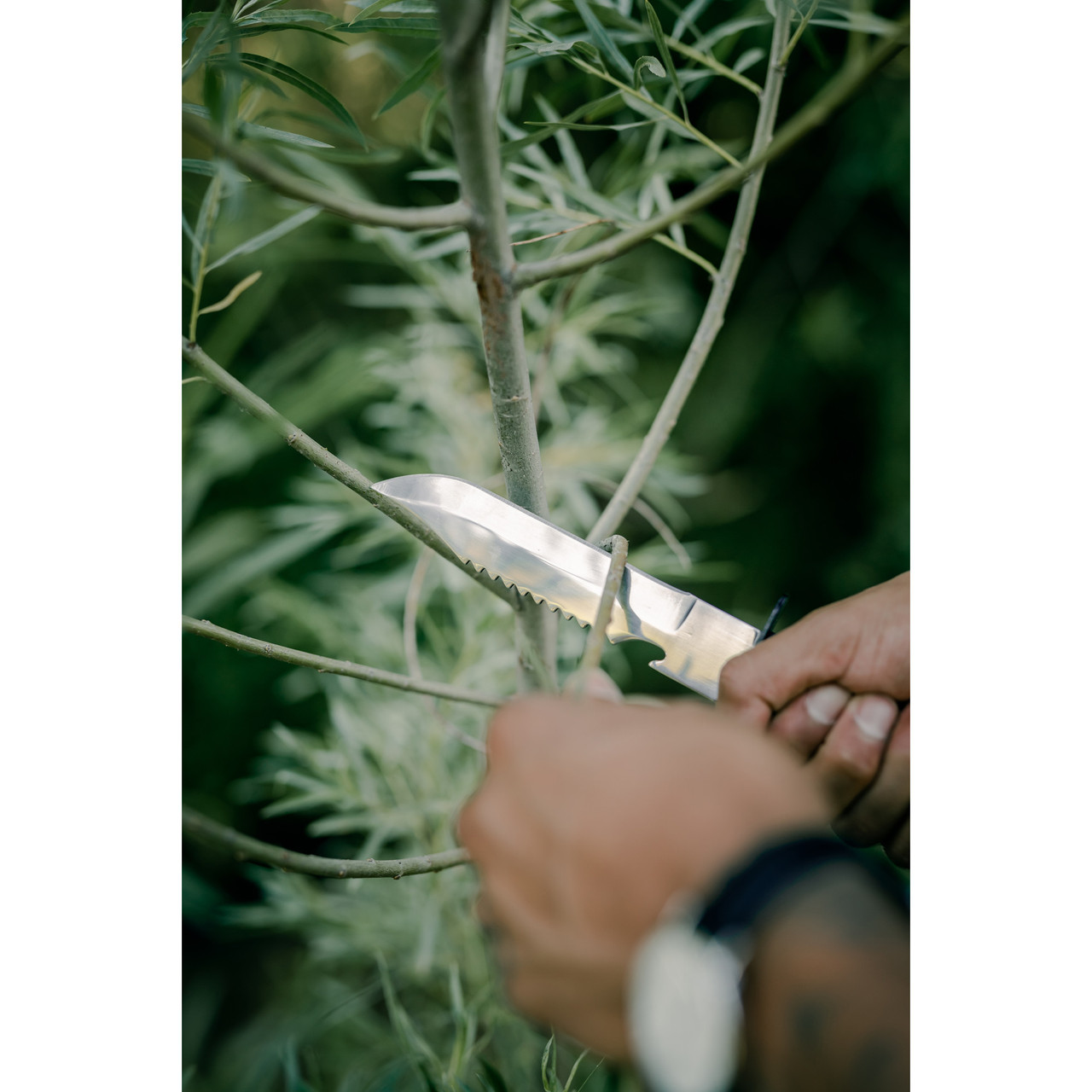 Survival Knife Set with Sheath - Image 5